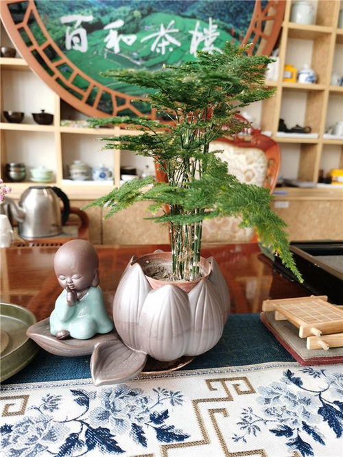 2021新媒体顶级茶馆揭晓 山东烟台抖音人气网红茶馆服务解析