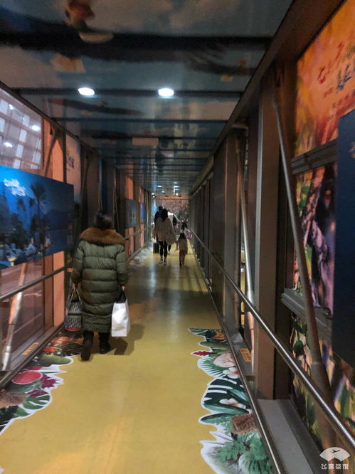 无愧五星航司称号 非黄金航线的精品服务与专业仓储