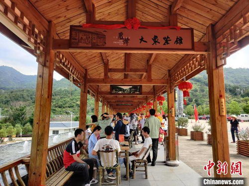 福建首家高速服务区大众茶馆开业 探索“茶旅融合”新路径，为旅途添一缕茶香